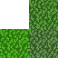 Grass2